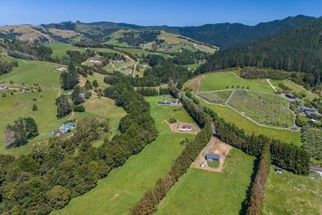 Photo of property in 813 Whangaripo Valley Road, Whangaripo, Wellsford, 0972