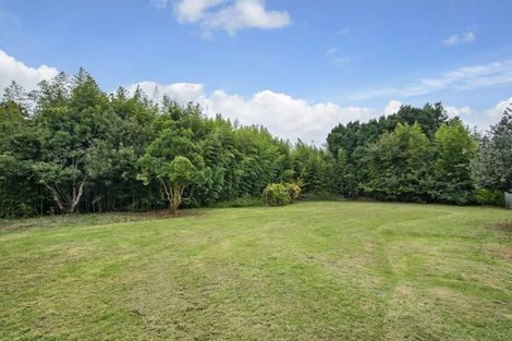 Photo of property in 90a Tarewa Road, Morningside, Whangarei, 0110