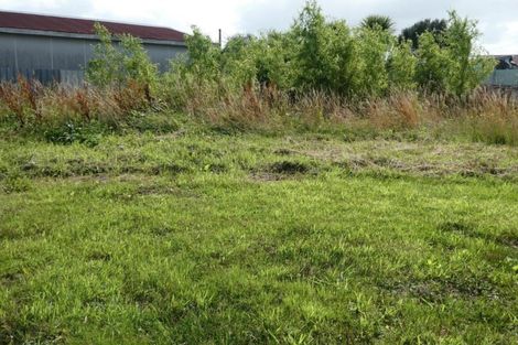 Photo of property in 12 Ohau Street, Dobson, Greymouth, 7805