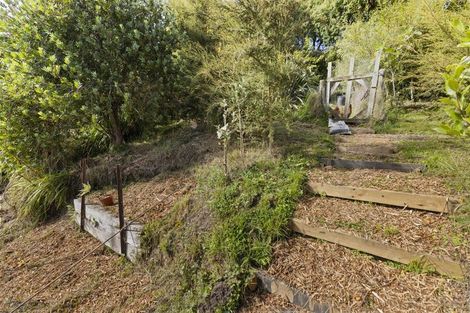 Photo of property in 54 Rhodes Terrace, North East Valley, Dunedin, 9010