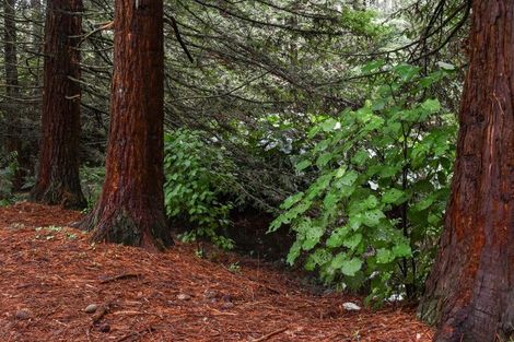 Photo of property in 14 Tupelo Place, Ohauiti, Tauranga, 3112