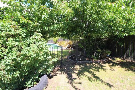 Photo of property in 182 Tarbert Street, Alexandra, 9320