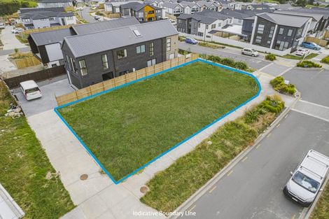 Photo of property in 64 Michael Bosher Way, Flat Bush, Auckland, 2019