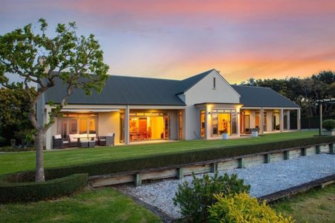 Photo of property in 166 Pukemapu Road, Oropi, Tauranga, 3173