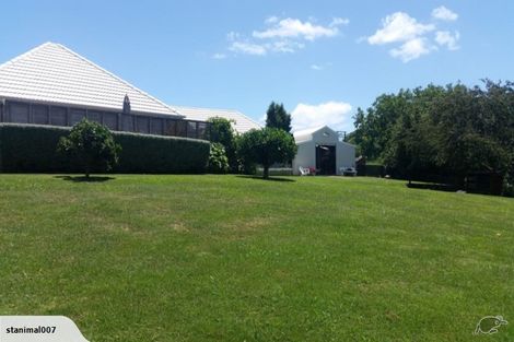 Photo of property in 519 Puniu Road, Te Awamutu, 3800