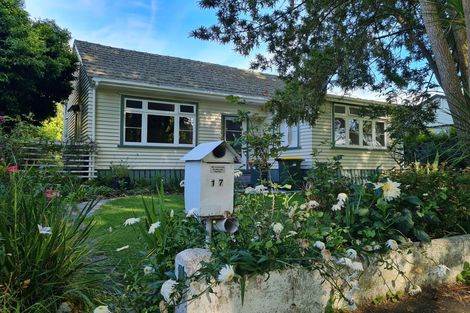 Photo of property in 17 Hillsborough Terrace, Hamilton Central, Hamilton, 3204