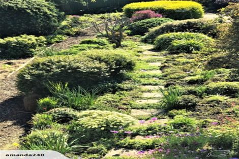 Photo of property in 10 Tamar Street, South Hill, Oamaru, 9400