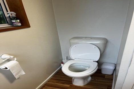 Photo of property in 56 Ravenswood Road, Saint Clair, Dunedin, 9012