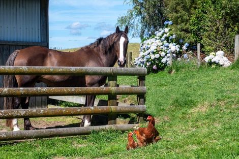 Photo of property in 691 Te Waerenga Road, Hamurana, Rotorua, 3096
