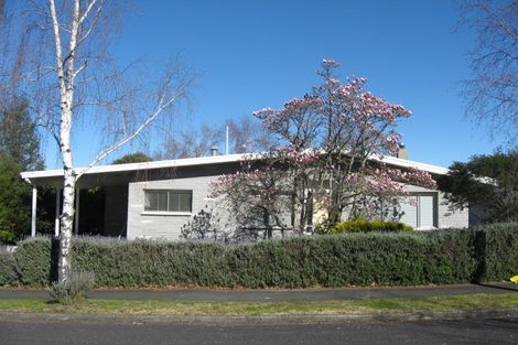 Photo of property in 4 Lovat Street, Havelock North, 4130
