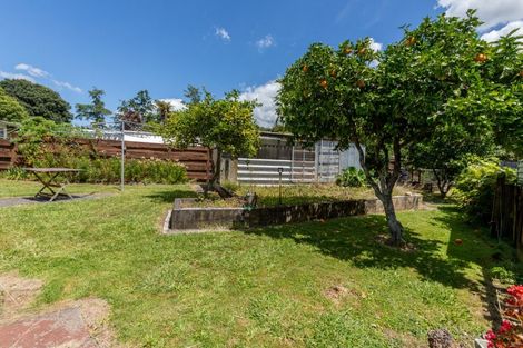 Photo of property in 46 Claremont Avenue, Paeroa, 3600