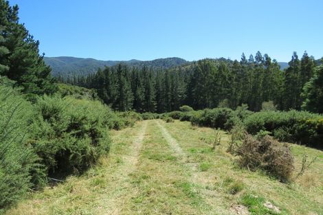 Photo of property in 255 Glentui Bush Road, Glentui, Oxford, 7495