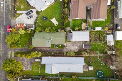 Photo of property in 16 Maunder Street, Marton, 4710