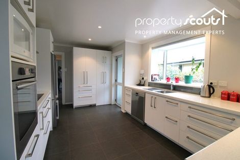 Photo of property in 49 Viscount Road, Waldronville, Dunedin, 9018