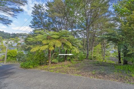 Photo of property in 24 Gallagher Drive, Tairua, 3508