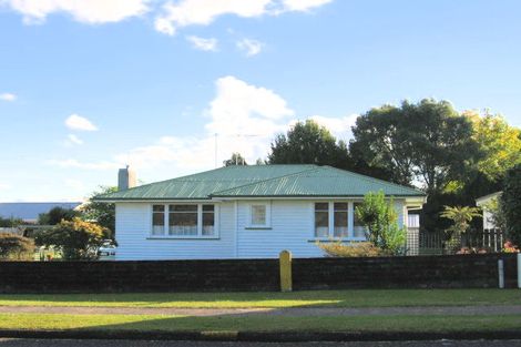 Photo of property in 19 Totara Street, Putaruru, 3411