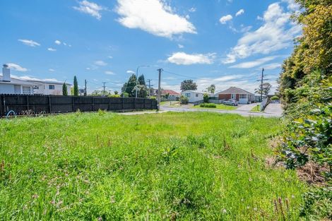 Photo of property in 9a Edwards Avenue, Henderson, Auckland, 0610