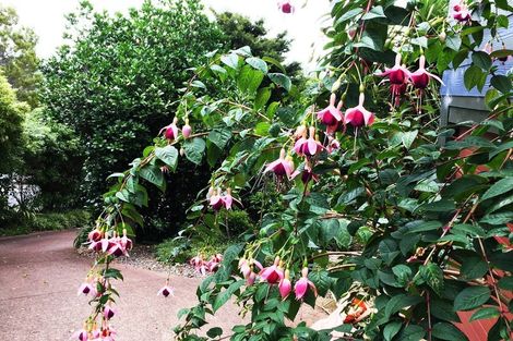 Photo of property in 9 Erua Road, Ostend, Waiheke Island, 1081