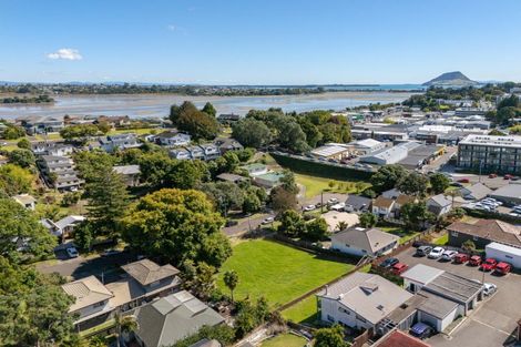 Photo of property in 10 Sheath Street, Tauranga, 3110