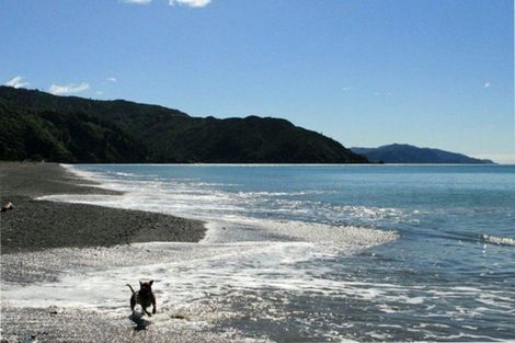 Photo of property in 214 Rarangi Beach Road, Rarangi, Blenheim, 7273