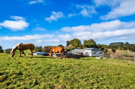 Photo of property in 1095 Taumata Road, Omanawa, Tauranga, 3173
