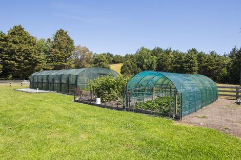 Photo of property in 909a Wharekopae Road, Ngatapa, Gisborne, 4072