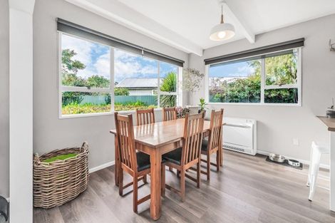 Photo of property in 28 Taumutu Road, Southbridge, 7602