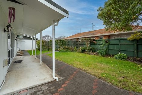 Photo of property in 109 Clarkin Road, Fairfield, Hamilton, 3214