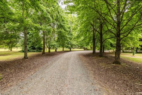 Photo of property in 296 Punakitere Road, Taheke, Kaikohe, 0473