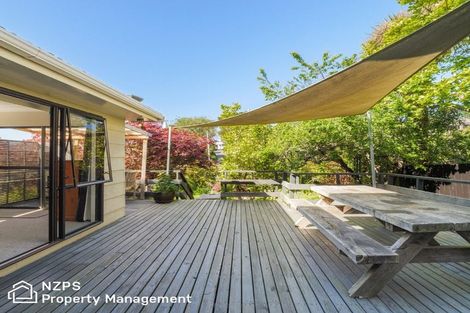 Photo of property in 17 Napier Street, Belleknowes, Dunedin, 9011