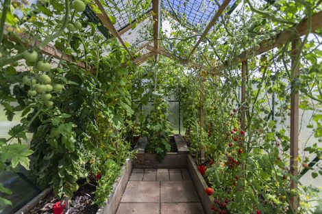 Photo of property in 12 Tamar Street, South Hill, Oamaru, 9400