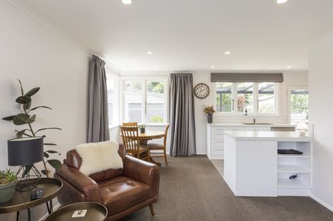 Photo of property in 53 Guy Avenue, Takaro, Palmerston North, 4410