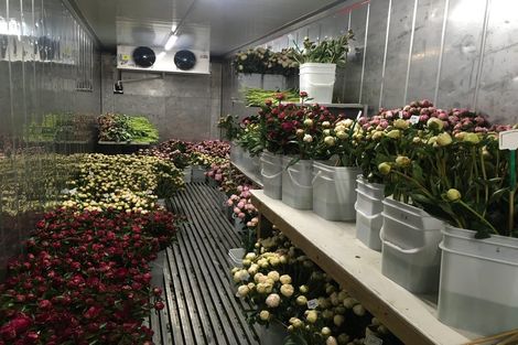 Photo of property in 63 Coopers Road, Leeston, 7682