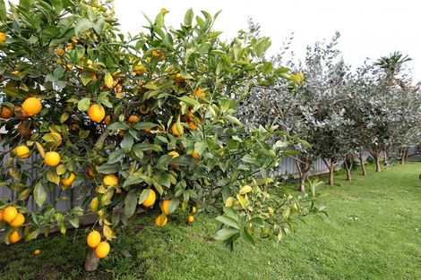 Photo of property in 704 Anson Street, Mayfair, Hastings, 4122