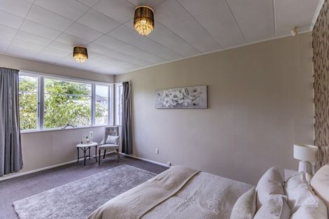 Photo of property in 66 Racecourse Road, Waipukurau, 4200