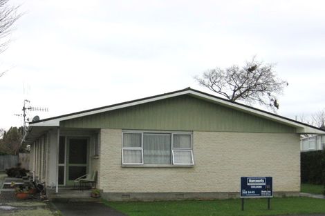 Photo of property in 10c Worcester Street, Levin, 5510