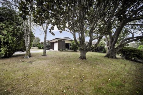Photo of property in 55 Ray Small Drive, Pahurehure, Papakura, 2113