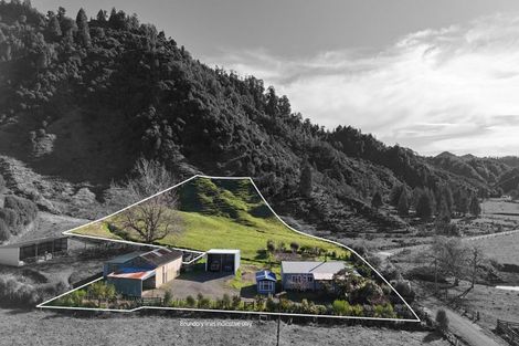 Photo of property in 254 Mangaonga Road, Ahititi, Urenui, 4378