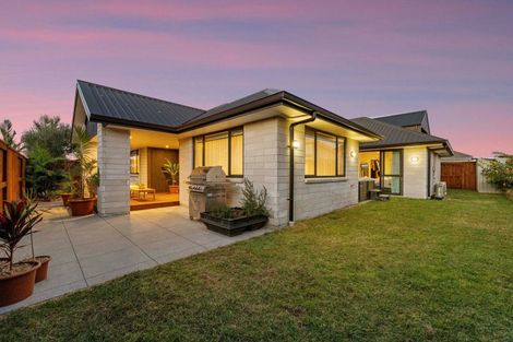 Photo of property in 14 Sarcodia Place, Papamoa Beach, Papamoa, 3118