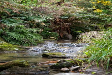 Photo of property in 52 Dons Creek Road, Waitati, 9085