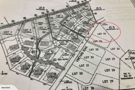 Photo of property in 116 Vineyard Road, Te Kauwhata, 3782