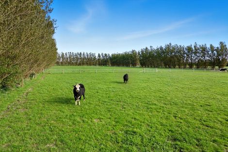 Photo of property in 247 Collins Road, Lincoln, Christchurch, 7674