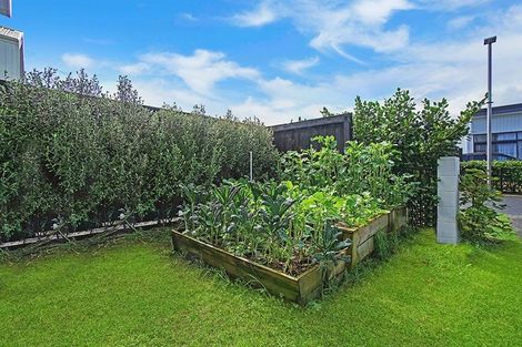 Photo of property in 55 Battalion Drive, Papakura, 2110