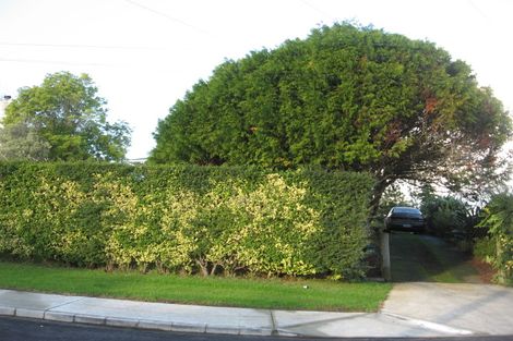 Photo of property in 10 Lawrence Place, Otara, Auckland, 2023