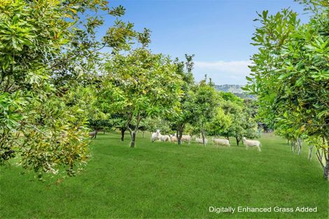 Photo of property in 11 North Way, Titirangi, Auckland, 0604