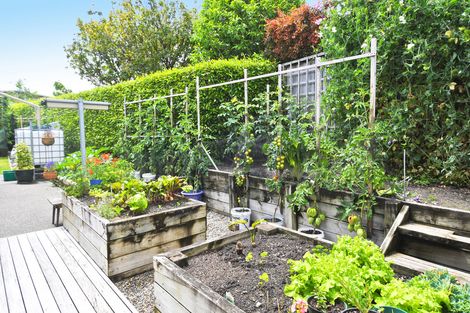 Photo of property in 26 Ashmore Crescent, Warkworth, 0910