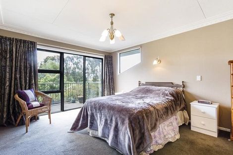 Photo of property in 22 Dukes Road North, Mosgiel, 9092