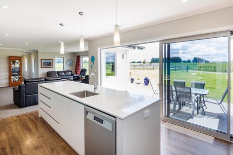 Photo of property in 760 Halcombe Road, Halcombe, Feilding, 4775