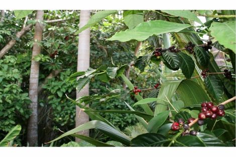 Photo of property in 2 Ashby Street, Russell, 0202