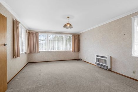Photo of property in 22 Snowdon Avenue, Terrace End, Palmerston North, 4410